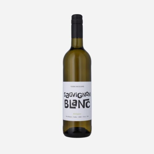 sauvignon blanc hvidvin